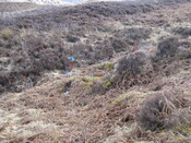 MHG49717_02.JPG