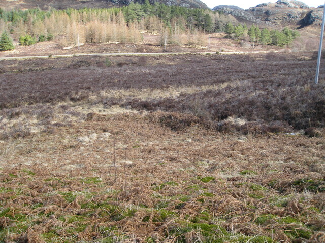 MHG49717_06.JPG