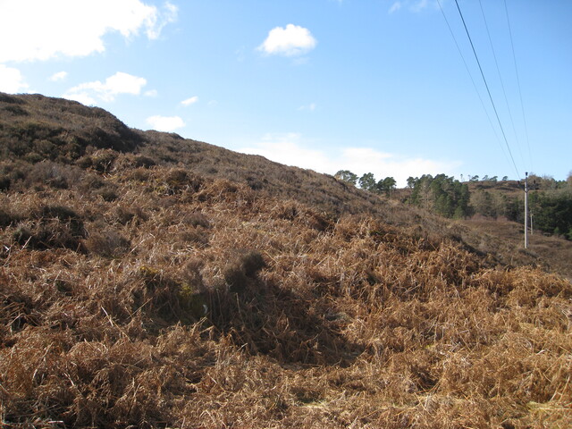 MHG49715_01.JPG