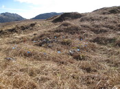 MHG49715_03.JPG