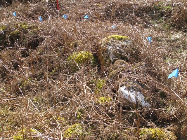 MHG49715_05.JPG