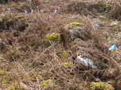 MHG49715_05.JPG