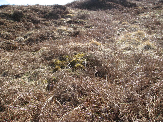 MHG49715_07.JPG