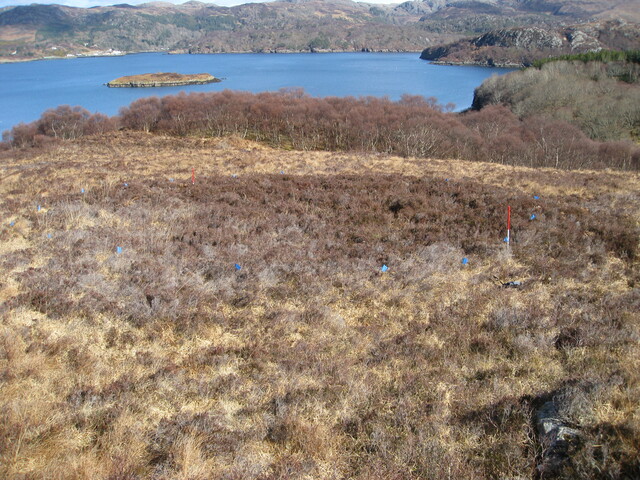 MHG8287_01.JPG