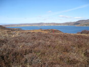 MHG8287_02.JPG