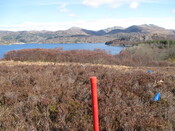 MHG8287_03.JPG