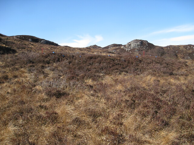 MHG8287_04.JPG