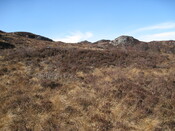 MHG8287_04.JPG
