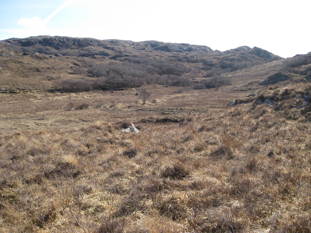 MHG8296_01.JPG