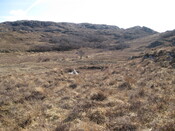 MHG8296_01.JPG