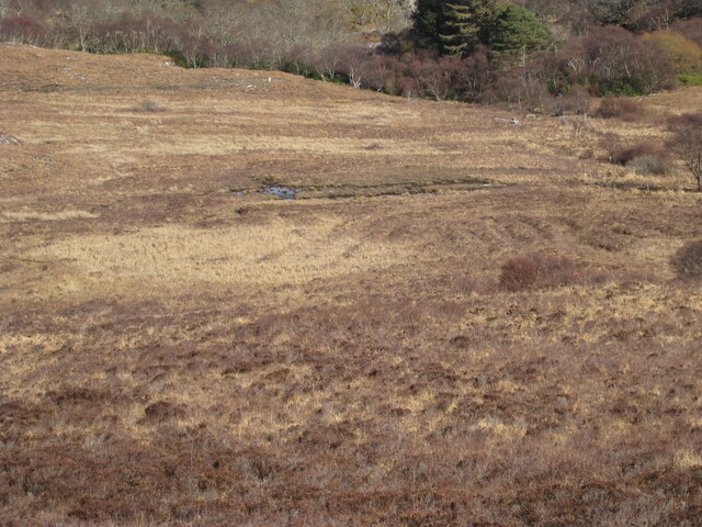MHG8296_02.JPG