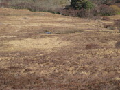 MHG8296_02.JPG