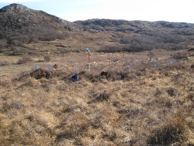 MHG8296_03.JPG