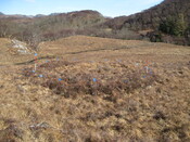 MHG8296_04.JPG