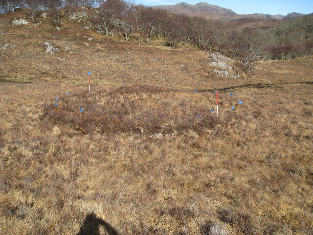 MHG8296_05.JPG