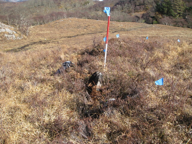 MHG8296_06.JPG