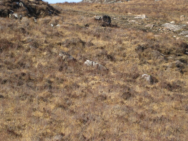 MHG43854_01.JPG