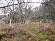 MHG57294_02.JPG