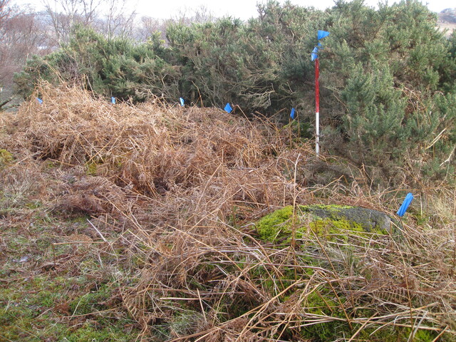 MHG57294_03.JPG