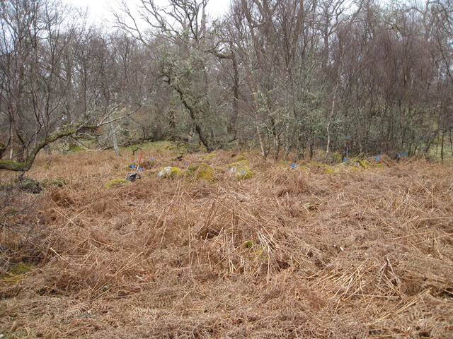 MHG8384_01.JPG