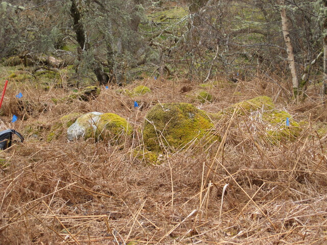 MHG8384_02.JPG