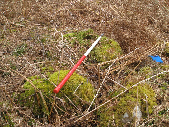 MHG8384_03.JPG