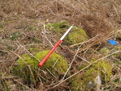 MHG8384_03.JPG