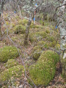 MHG8384_04.JPG