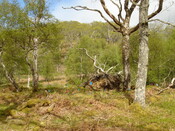 MHG7718_01.JPG