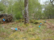 MHG7718_02.JPG