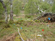 MHG7718_03.JPG