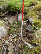 MHG7718_04.JPG