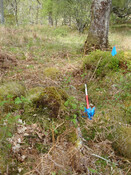 MHG7718_05.JPG