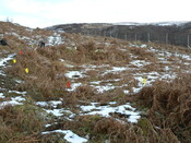 MHG49734_01.JPG