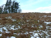 MHG49734_02.JPG
