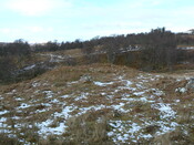 MHG49735_01.JPG