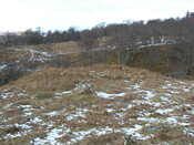MHG49735_02.JPG