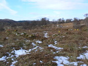 MHG49735_03.JPG