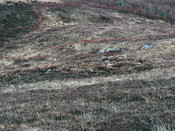 MHG57301_01.jpg