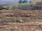 MHG57301_02.jpg