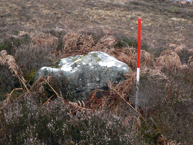 MHG57301_03.jpg