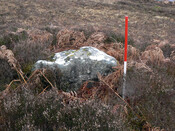 MHG57301_03.jpg