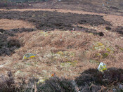 MHG57302_01.jpg