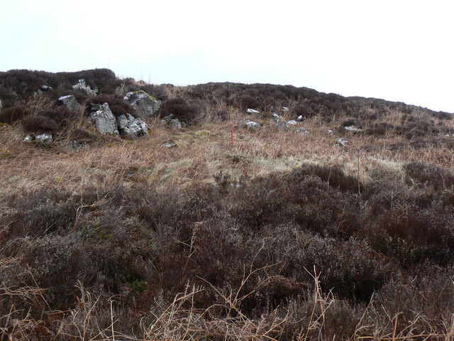 MHG57302_02.jpg