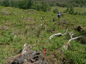 MHG57303_01.jpg