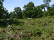 MHG57303_04.jpg