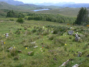 MHG57304_01.jpg