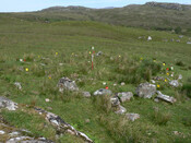 MHG57304_02.jpg