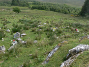MHG57304_03.jpg