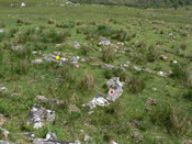 MHG57304_04.jpg